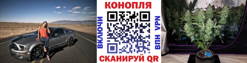 A PVP Ессентукская