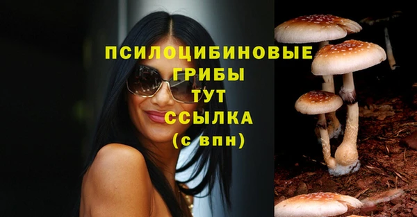 мяу мяу кристалл Гусь-Хрустальный