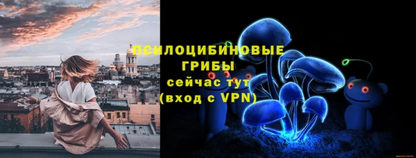 эйфоретик Гусиноозёрск