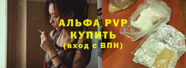дмт Гусев