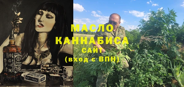 дмт Гусев
