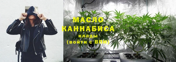 дмт Гусев
