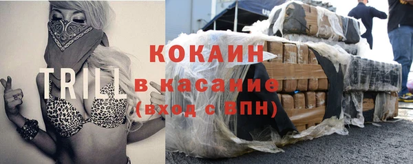 дмт Гусев