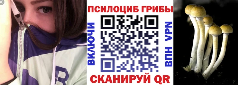 как найти наркотики  kraken ссылки  Галлюциногенные грибы мицелий  Ессентукская 